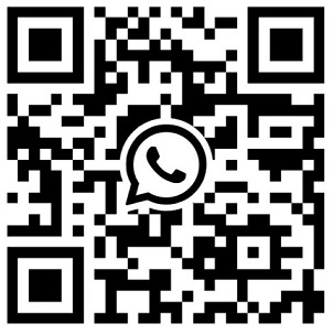 StartupEd WhatsApp